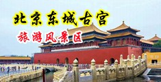 黑屌操白妞中国北京-东城古宫旅游风景区